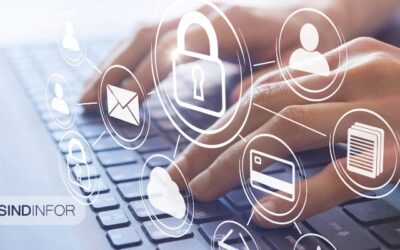 Guia Prático das Novas Normativas da ANPD: Como se Preparar e Evitar Riscos Regulatórios